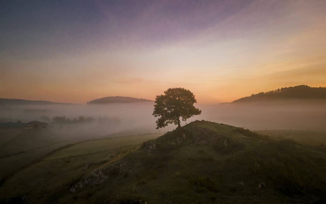 Sonnenaufgang und Nebel in Balve-Garbeck – Drohnenaufnahmen