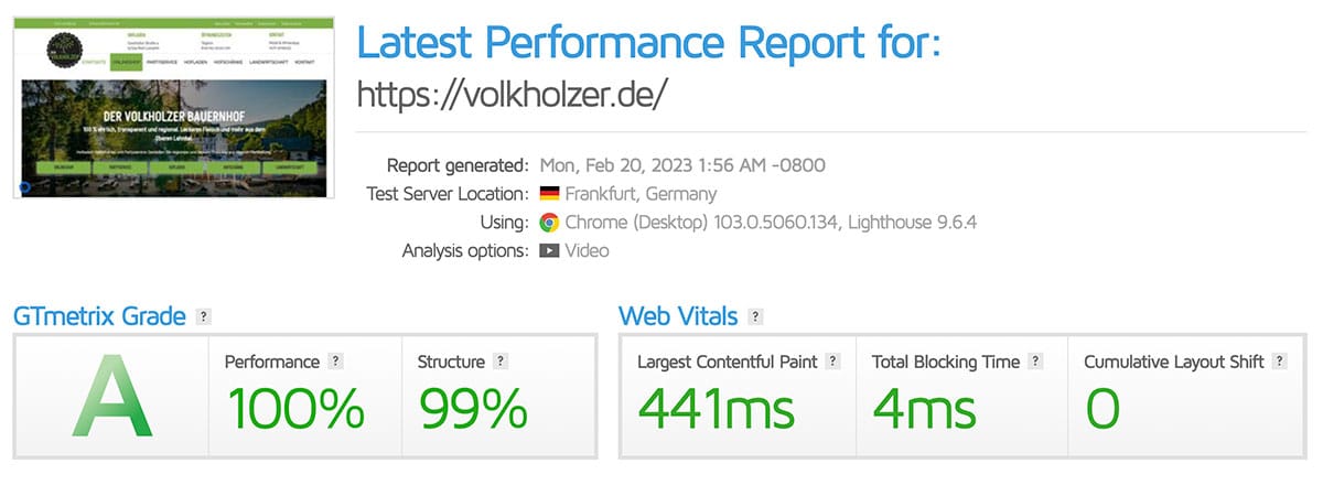 website-performance-volkholzer-freiwerk-agentur_2